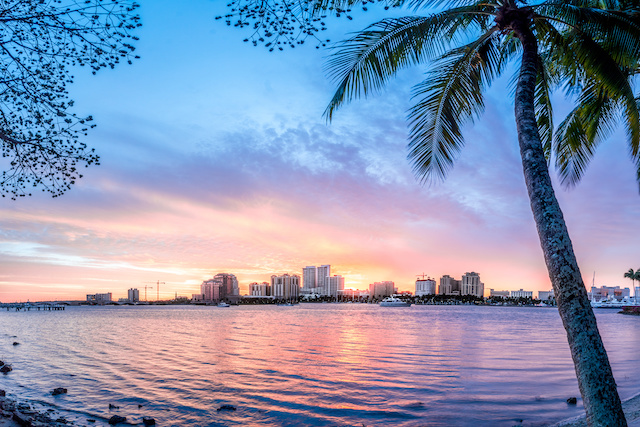 Palms at Miami Beach, Florida Stock Photo - Image of palms, summer