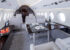 aircraft-gallery-image