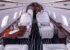 aircraft-gallery-image