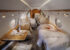 aircraft-gallery-image